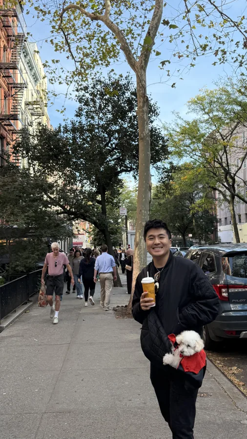 A New York street scene with someone walking a small dog